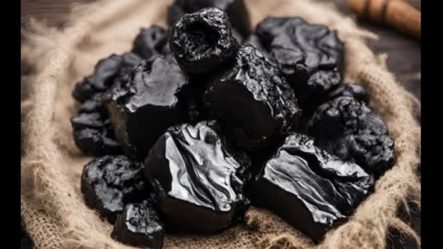 Shilajit (Mumio)